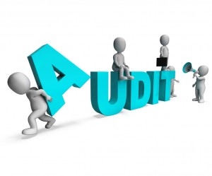 Audit Characters Shows Auditors Auditing Or Scrutiny